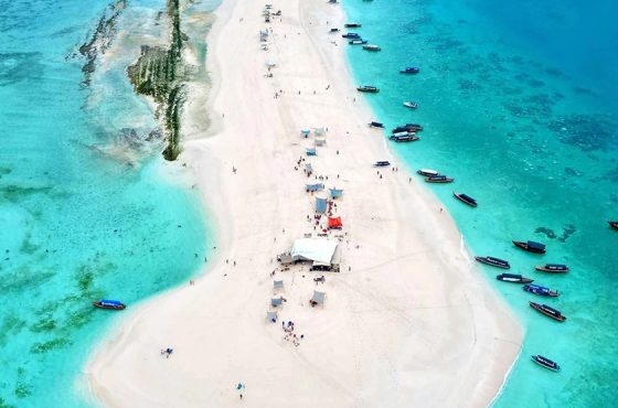 Private Nakupenda Sandback Tour with Snorkeling & Seafood Lunch